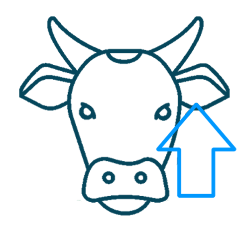 Geviş Getirme Takibi - Sürü Yönetimi